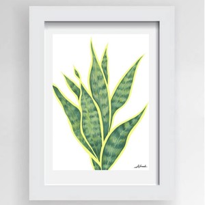 Gift Ideas Under $50 NZ Made Ladybugs Marketplace: Botanical Print Snake Plant