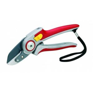 Garden Equipment NZ Made Ladybugs Marketplace: Professional Secateurs WOLF-Garten
