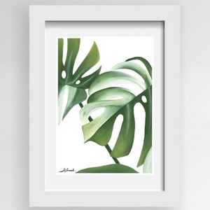 Gift Ideas Under $50 NZ Made Ladybugs Marketplace: Monstera Print