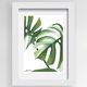 Monstera Print