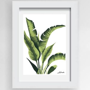 Gift Ideas Under $50 NZ Made Ladybugs Marketplace: Banana Tree Framed Print