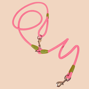 Dog Supplies NZ Made Ladybugs Marketplace: Pink Multifunctional Dog Lead