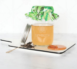 Kombucha Kit Live Cultures