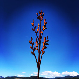 Toi Wands Corten Steel NZ Artist