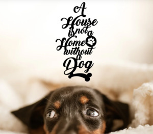 A House is not a Home without a Dog Metal Wall Art Made