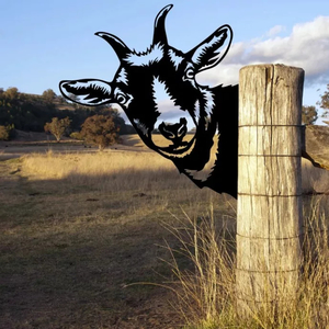 Garden Art NZ New Zealand Artists Ladybugs Gardening Online: Peek a Boo Goat Made