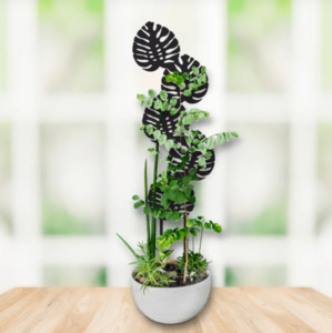 Garden Art NZ New Zealand Artists Ladybugs Gardening Online: Plant Stake Monstera Made