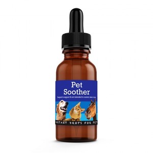 Cat Supplies NZ Made Ladybugs Marketplace: Pet Soother Drops