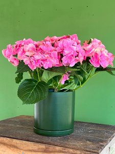 Products: Ceramic Planter - LA FEMME FLEUR