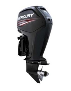 Products: Mercury 75 HP ELPT EFI