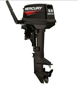 Products: Mercury 9.9 HP 2 STROKE