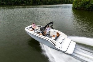 Bayliner DX2250