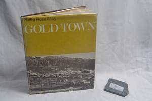 087 Gold Town by Philip Ross May