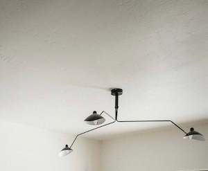 Lighting: Spider Light | Ceiling Mount
