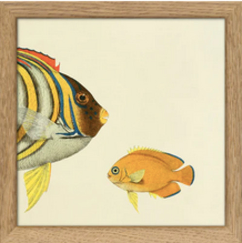 Small Prints 15 x 15cm Framed (FISH)