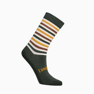 Family Pack Adults: Merino Wool Crew Socks | WOMAN | Billie
