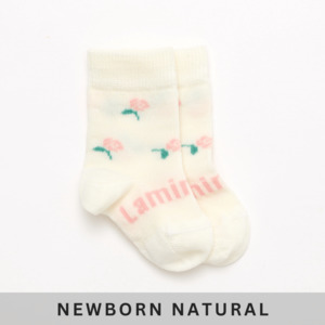 Family Pack Child Baby: Merino Wool Crew Socks | BABY | Rosa