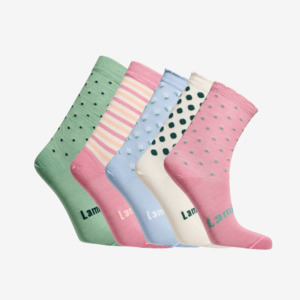 Child Socks Tights: Merino Wool Socks | Child | 5 Day Set