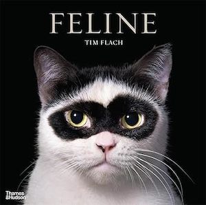Feline