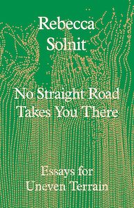 Environment And Sustainability: No Straight Road Takes You There: Essays for Uneven Terrain