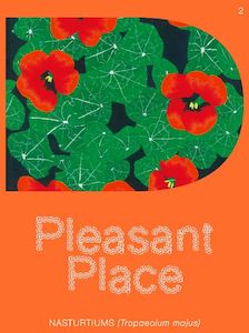 Pleasant Place #2 Nasturtiums