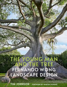 The Young Man and the Tree: Fernando Wong Landscape Design
