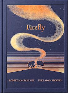 Picture Books: Night Creatures: Firefly