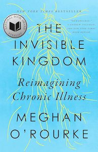 The Invisible Kingdom Reimagining Chronic Illness