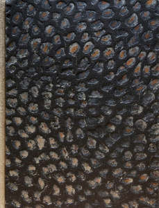 Te Ao Maori: Takoto ai te Marino: Selected Works 2018–2025