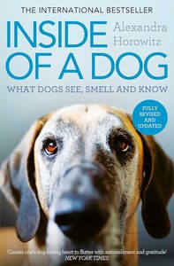 Brains And Well Being: Inside of a Dog