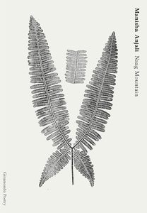 Poetry: Naag Mountain