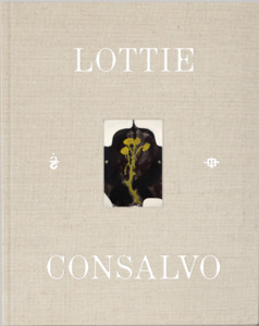 Art: Lottie Consalvo: We hover above the ground in hope that we might float