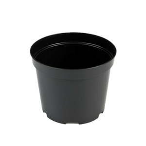IPP Round Pots