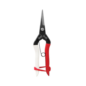 Tools: Okatsune Pointed Tip Fruit Shears