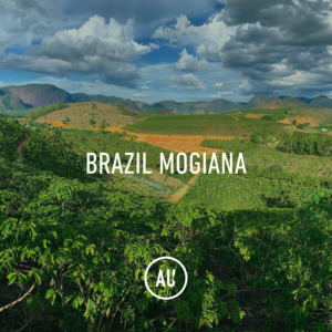 Full Size Bags: Brazil Mogiana NY 2/3 FC SC14/16 60kg