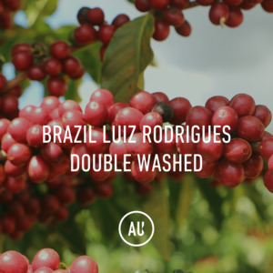 Full Size Bags: Brazil Luiz Rodrigues Double Washed 30kg