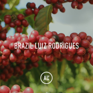 Brazil Luiz Rodrigues Double Fermentation 30kg