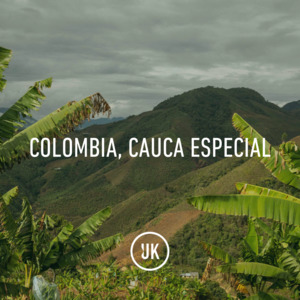 Full Size Bags Uk: Colombia Cauca Especial 83+ Washed 70kg GP