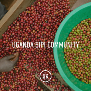 Full Size Bags Uk: Uganda Mt Elgon Sipi Community, A+, Washed, 60kg, GP