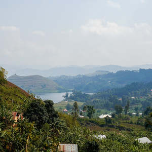Origins: Honduras - the largest producer of coffee in Central America.
