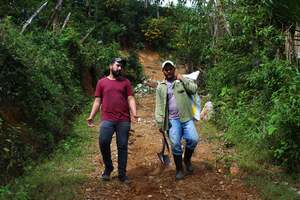 Brazil - the powerhouse of global coffee production