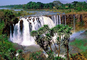 Ethiopia – the birthplace of coffee