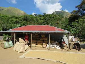 Colombia Huila Gigante El Dessarrollo