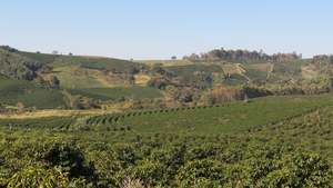 Core Offer List: Bela Vista Fruity Anaerobic