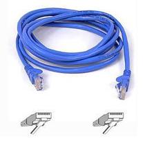 Products: Belkin Cat5e ethernet cable 2m - cables - networking