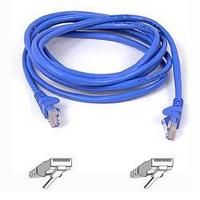 Products: Belkin Cat5e ethernet cable 5m - cables - networking