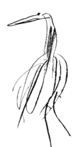 Birds - Lasavia Healing