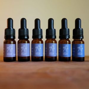 Products: Into the World by Leila Lees