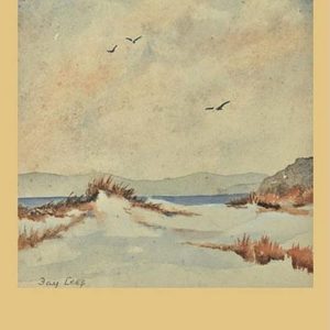 Into the World: a Handbook for Mystical and Shamanic Practice, by Leila Lees