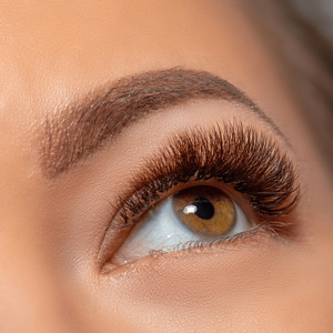 Lash & Brow Academy